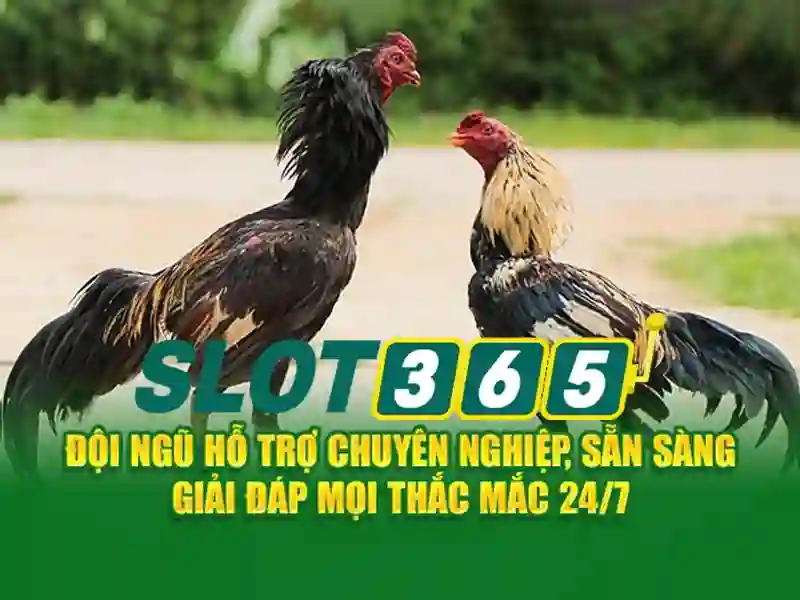 Slot365 - Nền tảng slot trực tuyến uy tín và hấp dẫn
