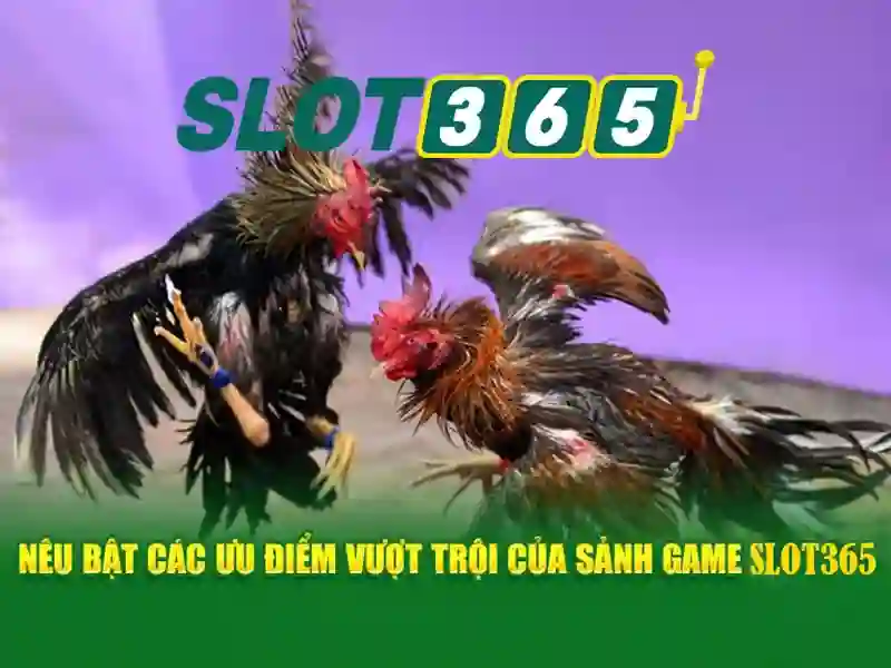 Slot365 - Trải nghiệm casino slot trực tuyến hàng đầu