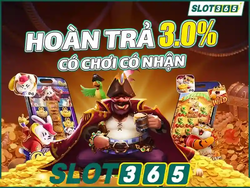 Tùy chọn thanh toán\n\n<h3><b>Hỗ trợ khách hàng và dịch vụ</b></h3>\n<li style=