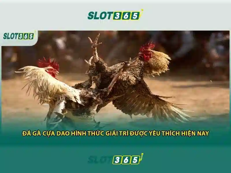 Slot365: Nền tảng slot trực tuyến uy tín và giải trí đỉnh cao