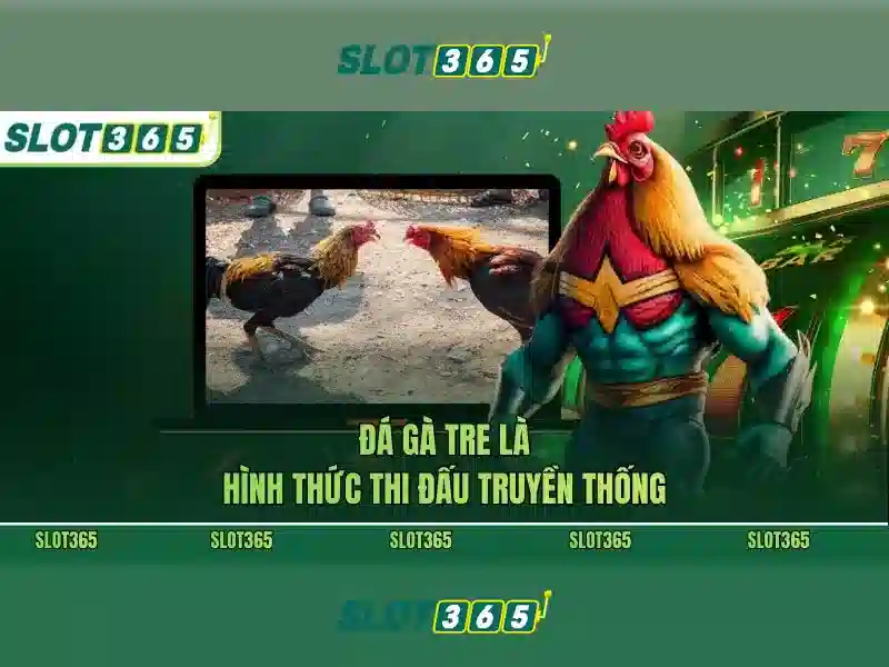 Quy trình đăng ký và an toàn