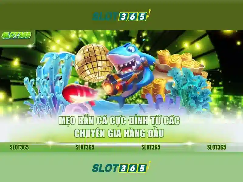 Slot365 – Nền tảng cá cược máy đánh bạc trực tuyến nổi bật