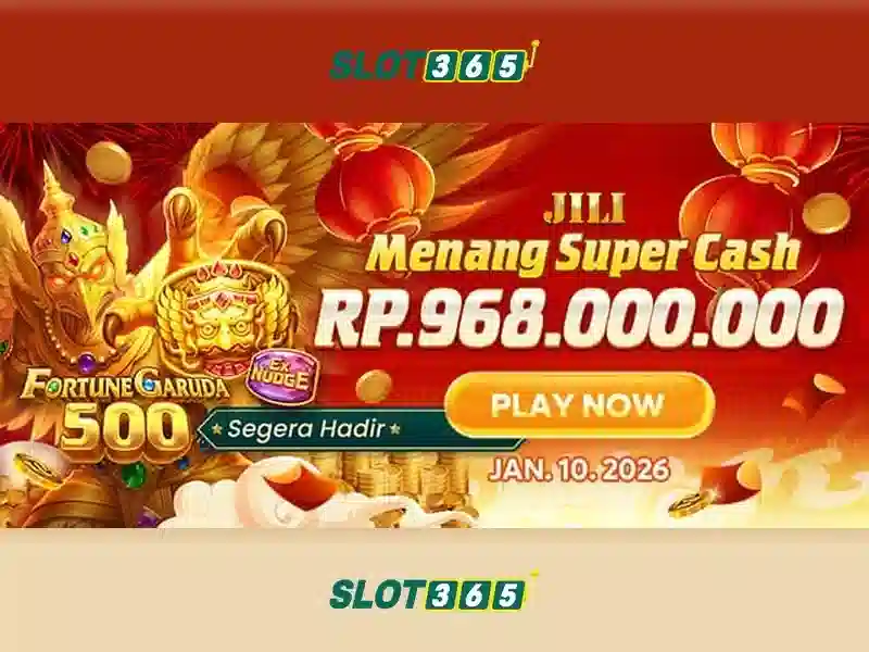 Giao diện, bố cục và trải nghiệm người dùng