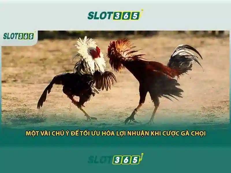 Slot365: Giới thiệu về nền tảng slot trực tuyến