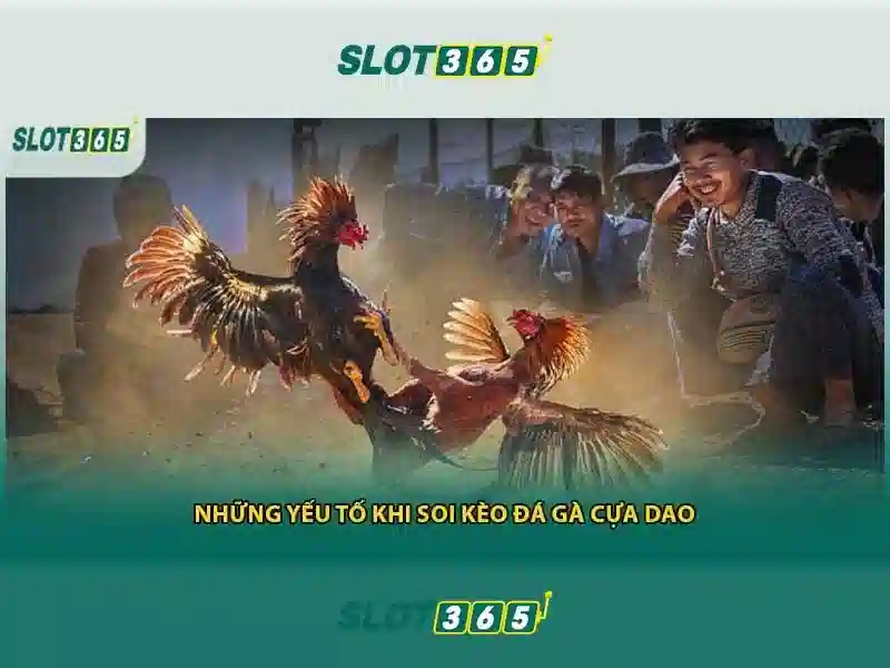 Slot365 - Nền tảng xèng trực tuyến hàng đầu