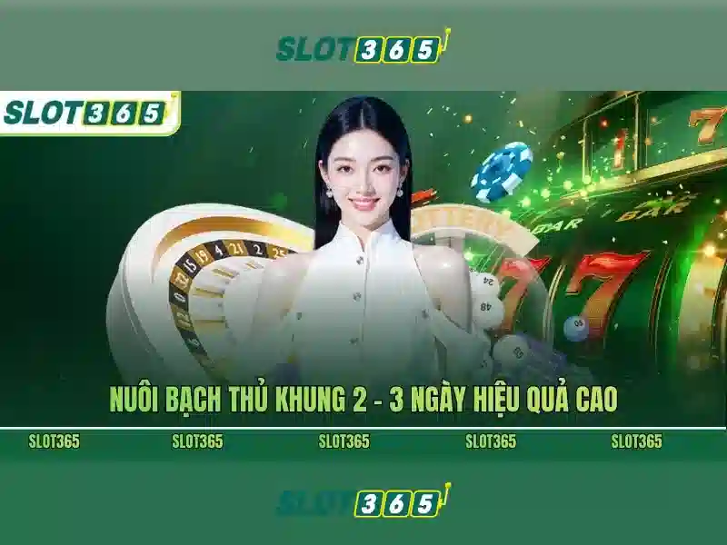 Slot365: Trải nghiệm casino trực tuyến đáng tin cậy