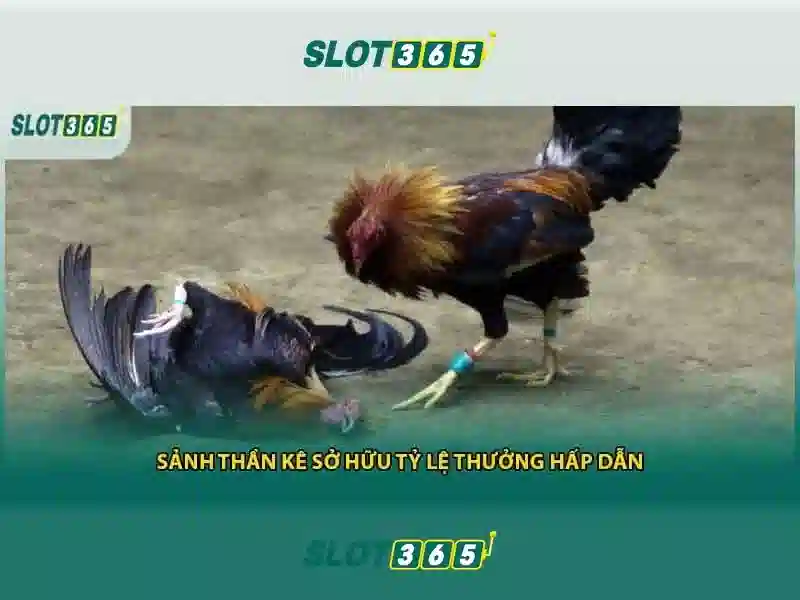 Slot365: Đánh giá và trải nghiệm chơi máy xèng trực tuyến