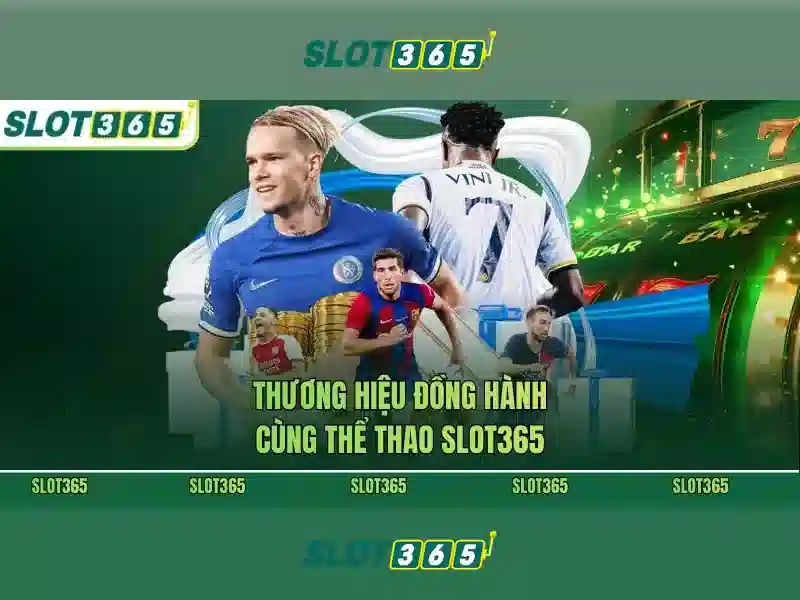 An toàn, thanh toán và chăm sóc khách hàng