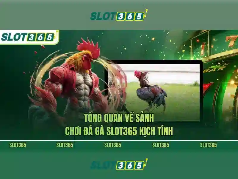 Slot365 là gì?