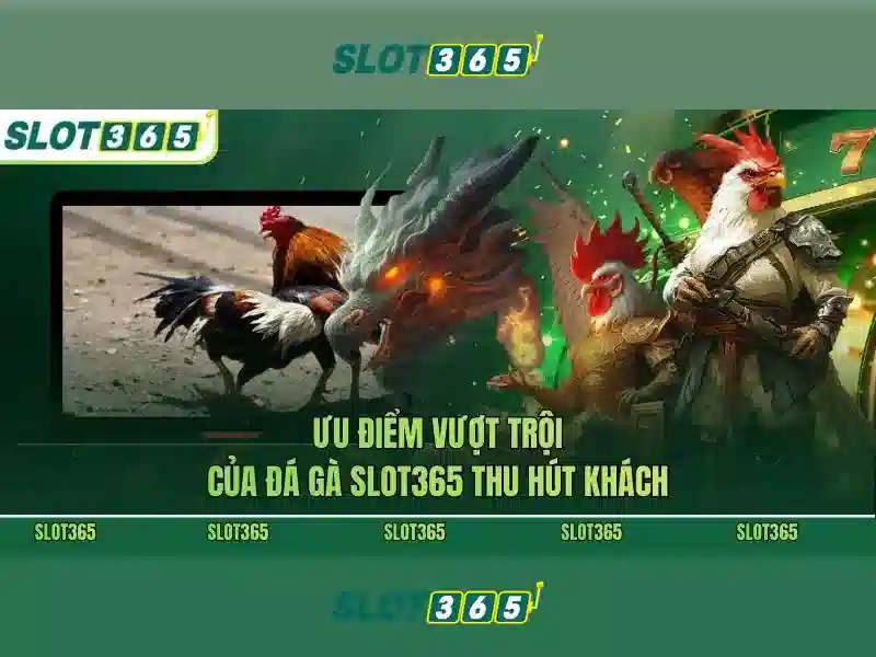 Slot365: Đánh giá tổng quan và trải nghiệm người chơi
