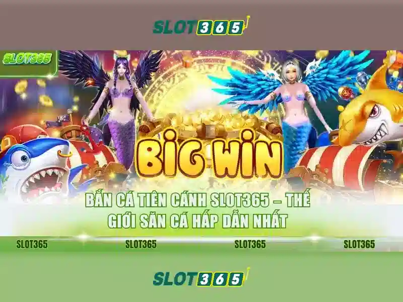 Slot365: Đánh giá và Tổng quan