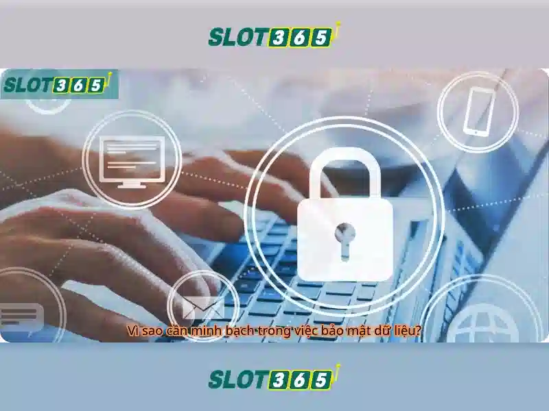 Slot365 là gì