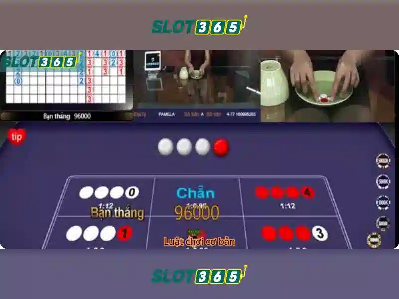 Slot365: Trải nghiệm slot trực tuyến đáng tin cậy