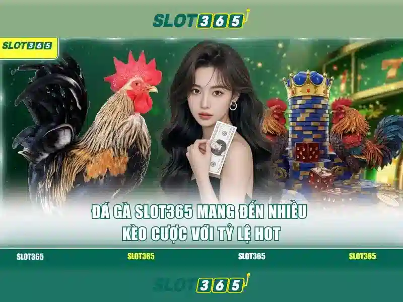 Slot365 – Trải nghiệm chơi slot trực tuyến an toàn và giải trí tổng thể
