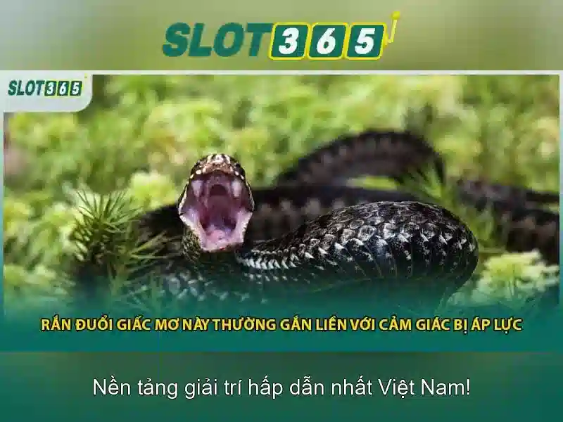 Slot365: Tổng quan và trải nghiệm người chơi