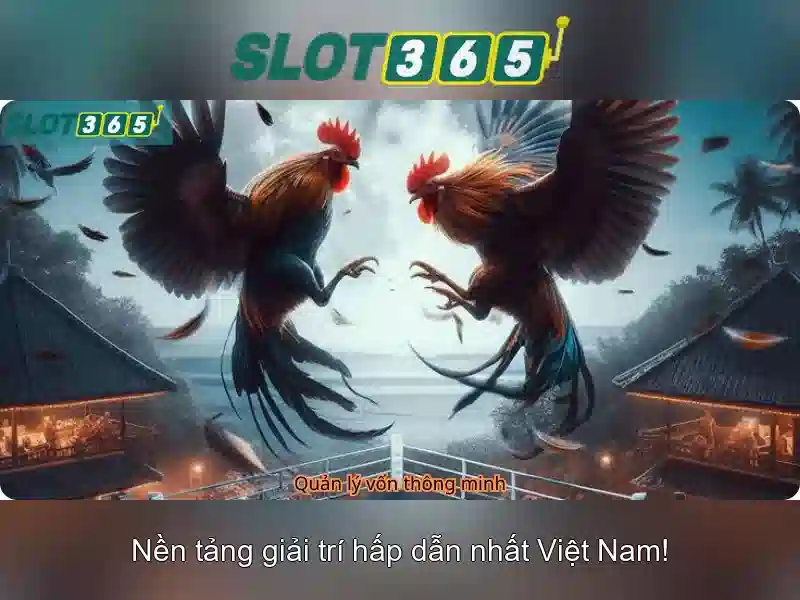 Slot365: Nền tảng trò chơi slot online