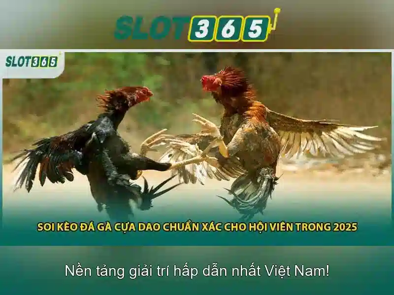 Slot365: Nền tảng slot trực tuyến đáng tin cậy tại Việt Nam