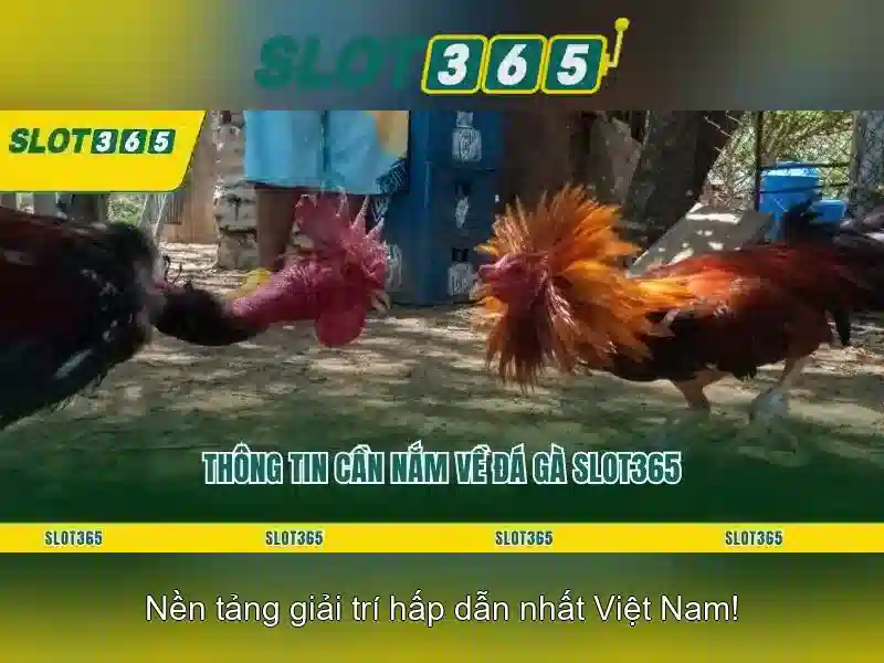 Slot365 - Trải nghiệm slot trực tuyến tại Việt Nam