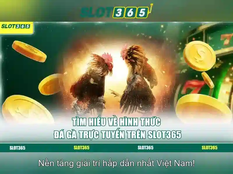 Hướng dẫn tham gia và thanh toán