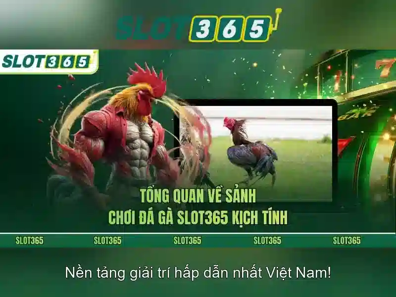Kết luận
