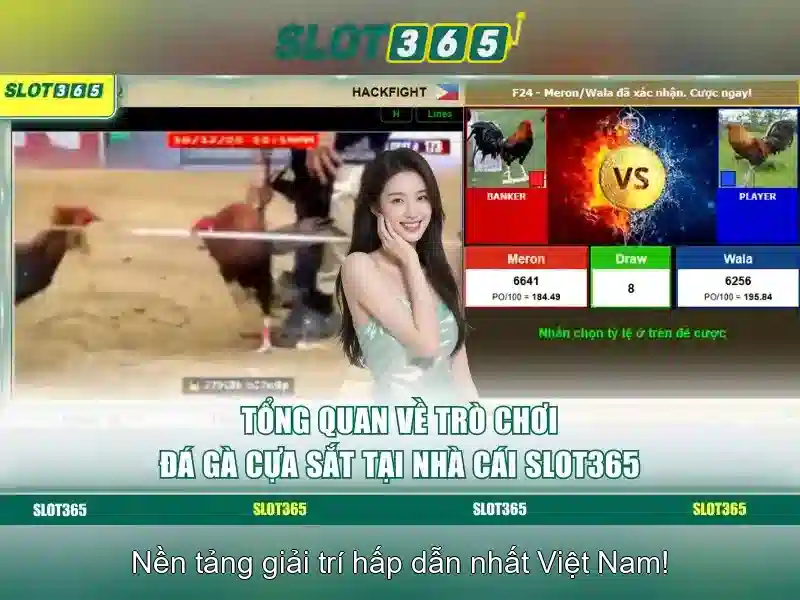 Slot365 - Nền tảng slots trực tuyến nổi bật