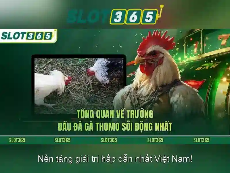Slot365: Trải nghiệm slot trực tuyến an toàn và hấp dẫn