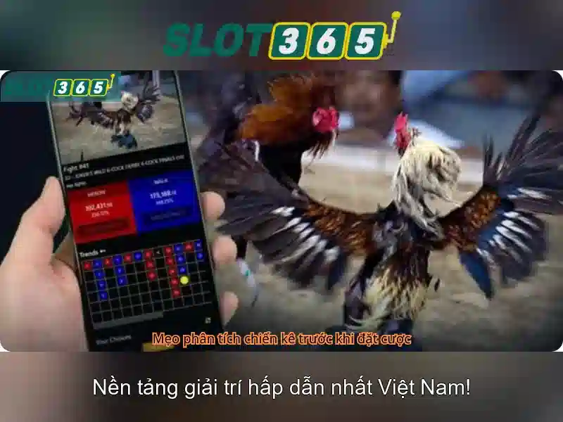 Hướng dẫn đăng ký và khuyến mãi