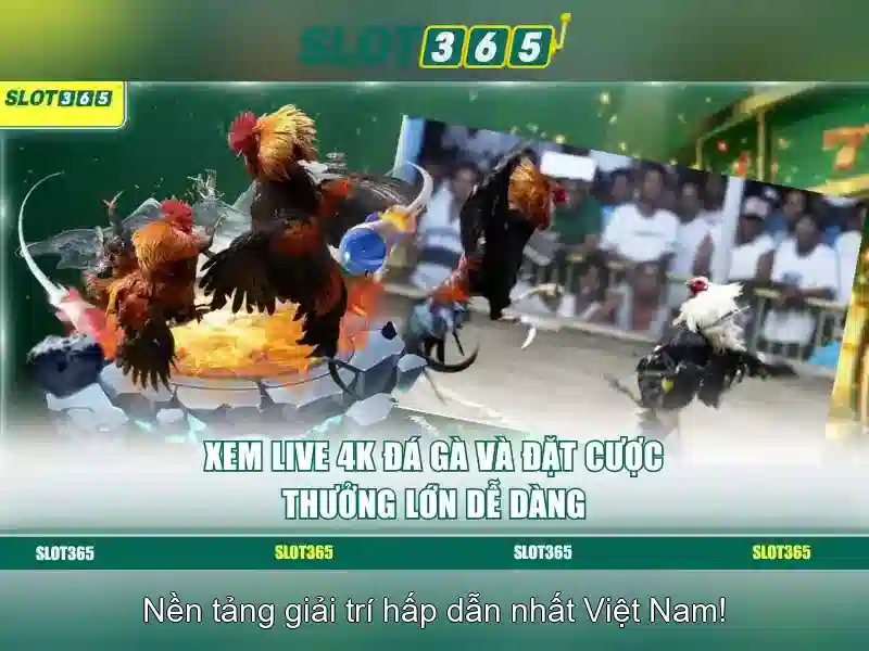 Slot365: Trải nghiệm máy slot trực tuyến