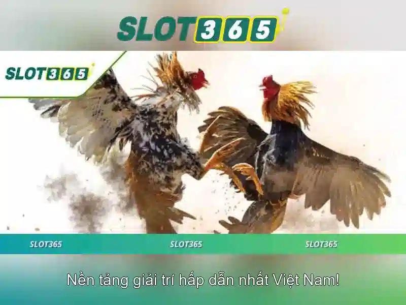 Danh mục trò chơi và nhà phát triển