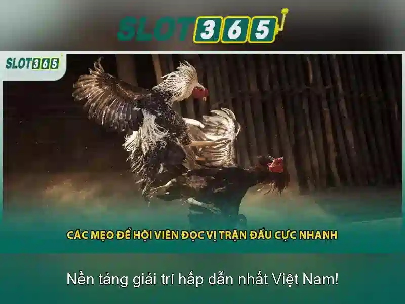 Slot365: Đánh giá nền tảng slot trực tuyến hiện đại