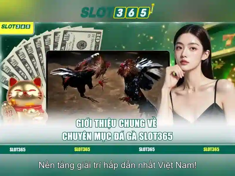 Slot365 - Giới thiệu