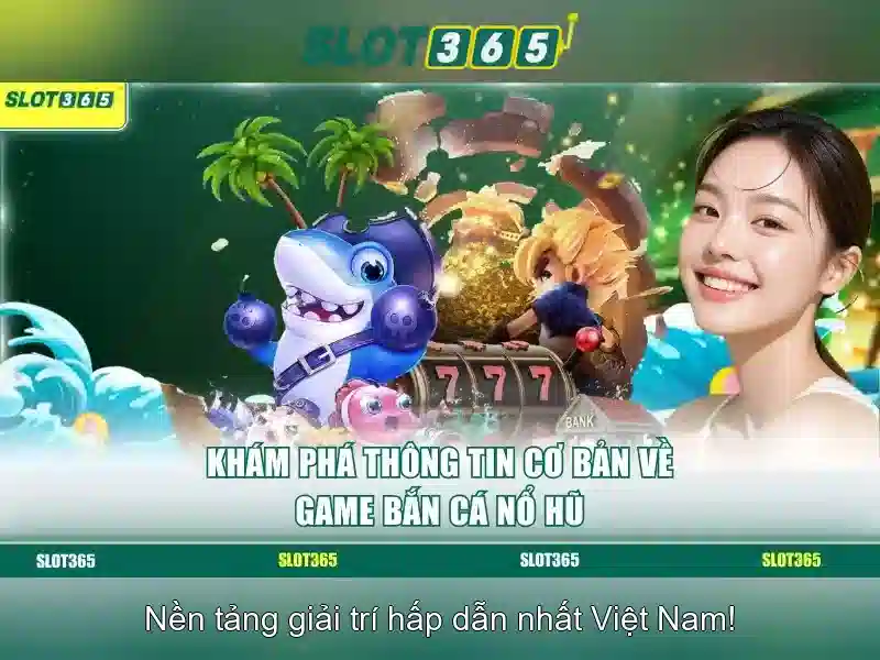 Hỗ trợ người dùng và bảo mật