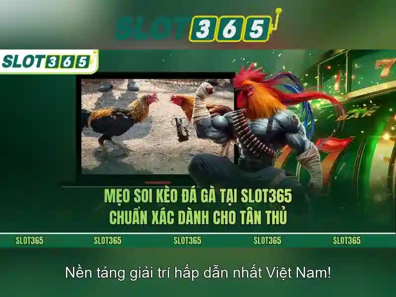 Slot365: Đánh giá và thông tin tổng quan