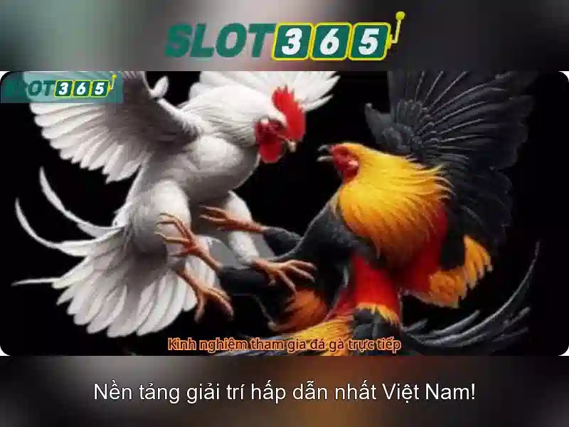 Slot365 – Trải nghiệm chơi slot trực tuyến an toàn và giải trí tổng thể