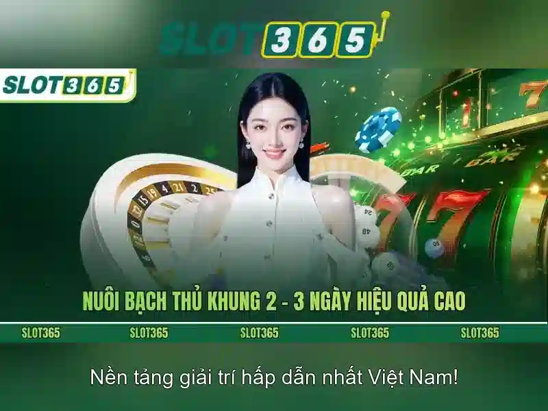 Giao diện và trải nghiệm người dùng