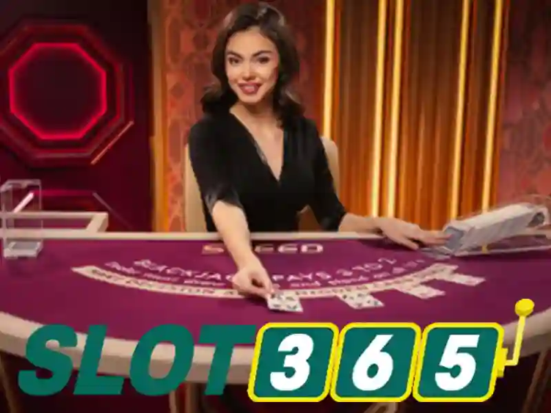 Slot365 – Tổng quan và trải nghiệm người chơi